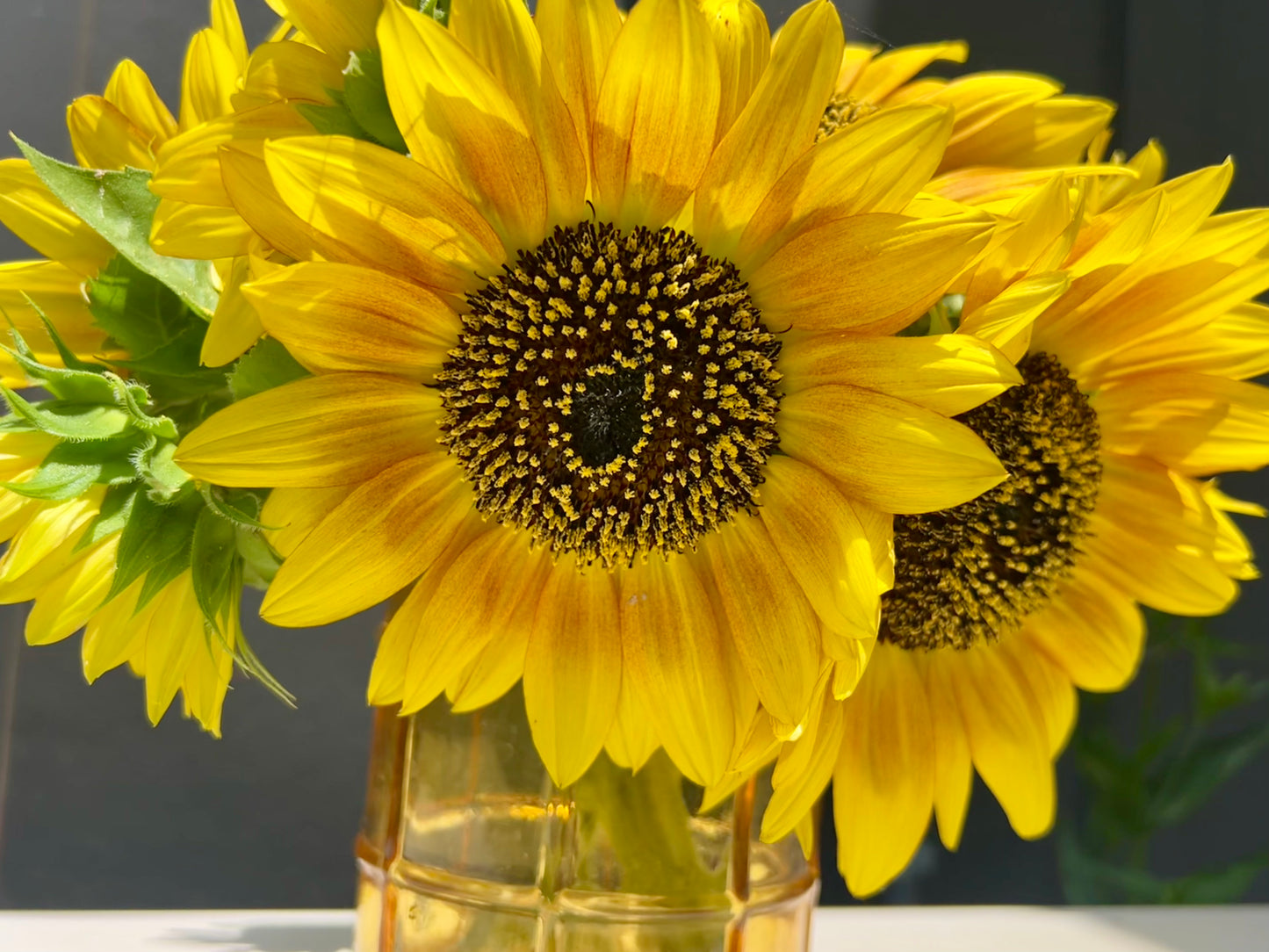 2026 Sunflower Bunches